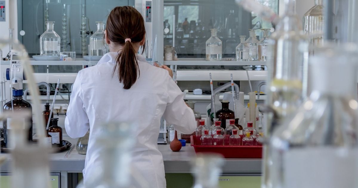 Mokslininkai žengė svarbų žingsnį: laboratorijoje sukurta nugaros smegenų struktūra