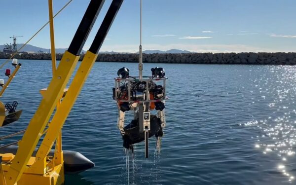 Tikrasis gelmių košmaras: išmanūs robotai išspręs problemą, kuri dešimtmečius buvo nematoma