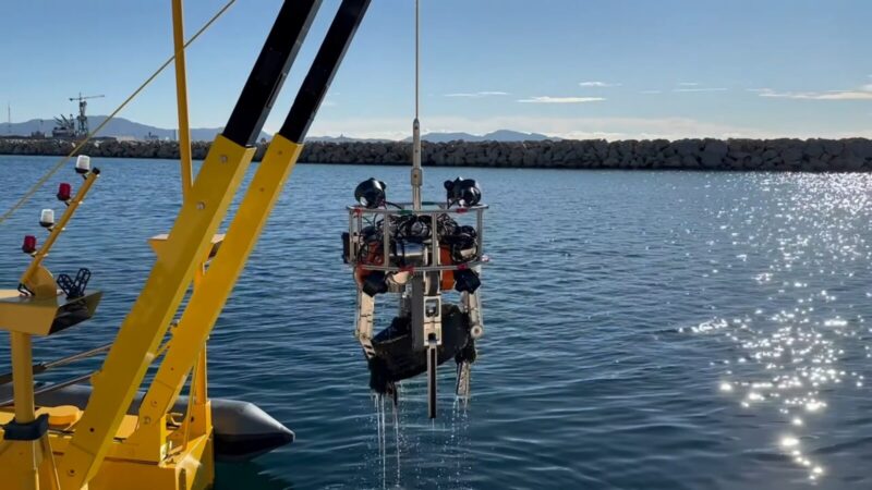 Tikrasis gelmių košmaras: išmanūs robotai išspręs problemą, kuri dešimtmečius buvo nematoma