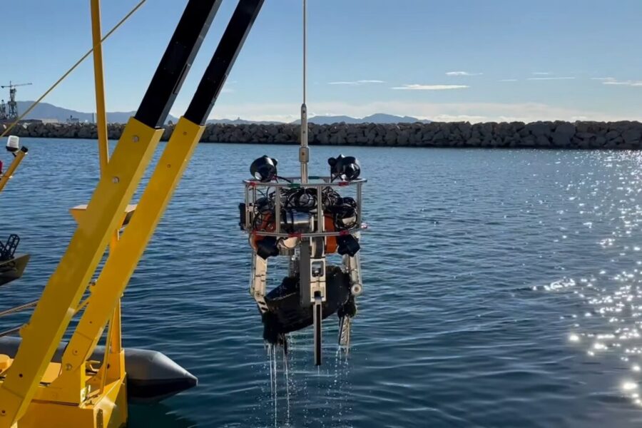 Tikrasis gelmių košmaras: išmanūs robotai išspręs problemą, kuri dešimtmečius buvo nematoma