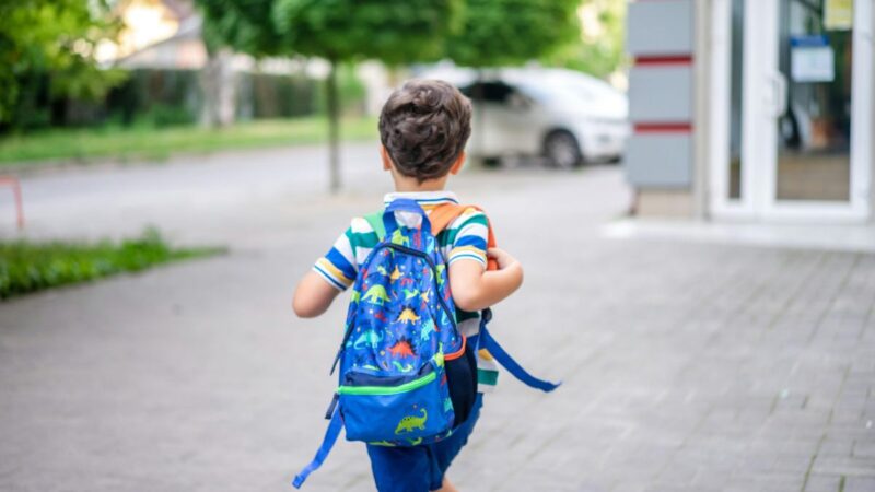 Kongresmenas: per JAV imigracijos agentų reidus sulaikytas vaikas grįžo namo