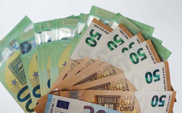 Galimybė praturtėti? Lietuviai už centus susišluoja valstybinę žemę ir lašinių ūkius