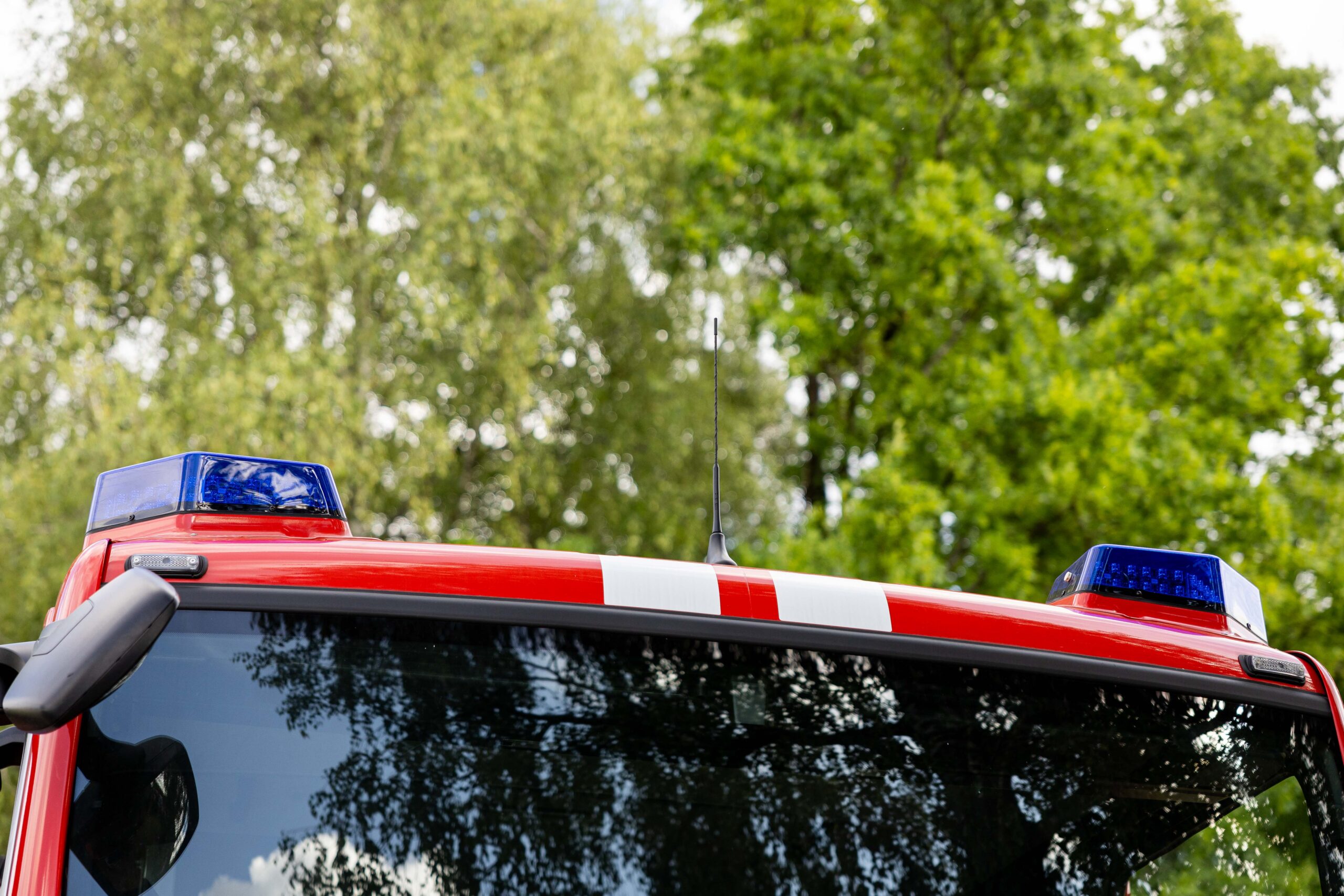 Pasienyje su Lenkija – netikėtas iškvietimas: migrantai skendo pelkėje