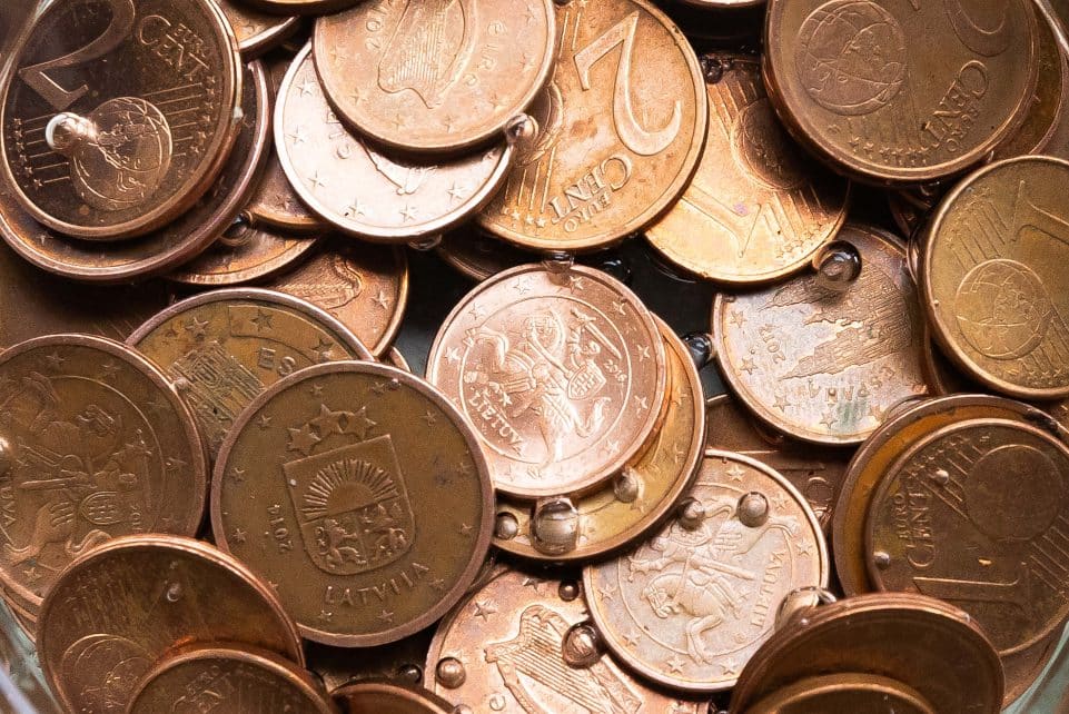 Centai. ELTA / Dainius Labutis