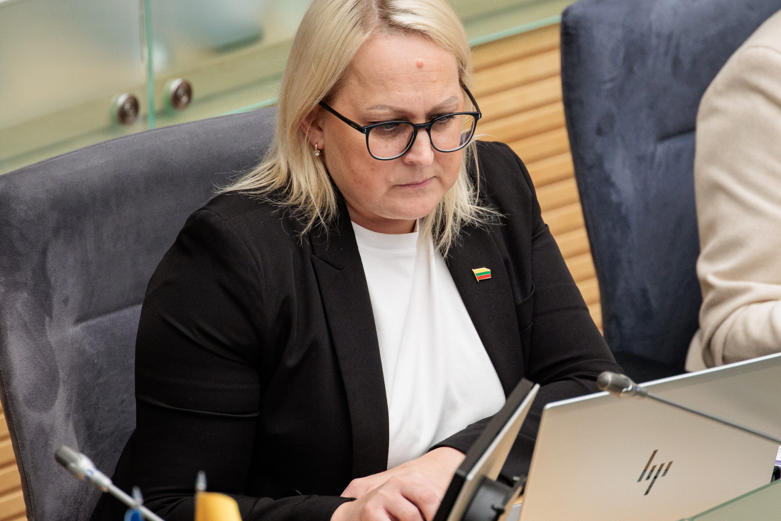 Girskienė atvirai: trečias Vyriausybės perstatymas būtų dovana priešiškoms valstybėms