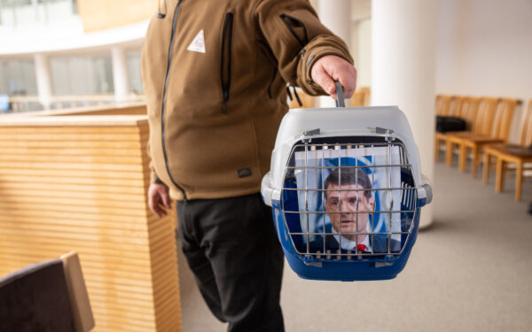 „Katinų įstatymų“ era baigiasi: Lietuvos Respublikos Seimas ruošia griežtas Statuto pataisas