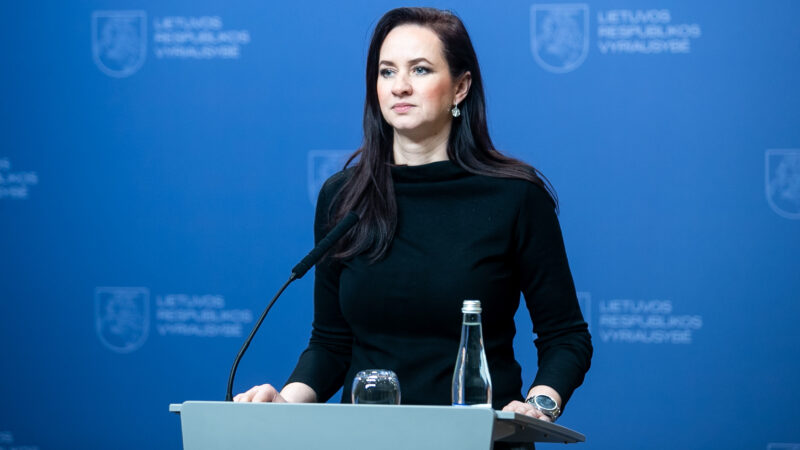Premjerė apie drono incidentą: sistemų įsigijimą stabdo pasaulinė paklausa