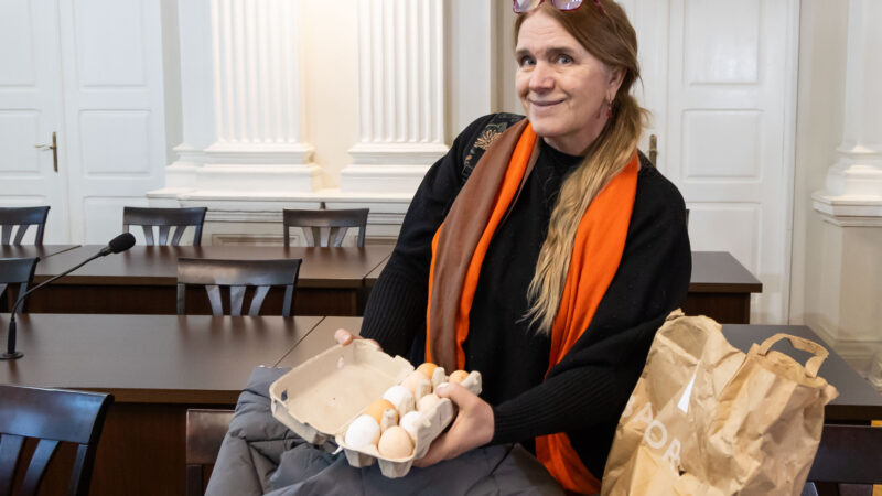 Teismas spręs dėl Švenčionienės pasisakymų apie Medininkų tragediją: prokuroras prašo apykojės ir draudimų