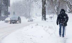 Snygis. ELTA / Dainius Labutis