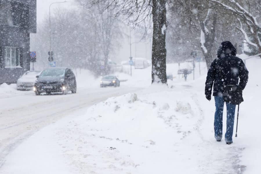 Snygis. ELTA / Dainius Labutis