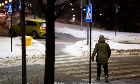 Lijundra. ELTA / Žygimantas Gedvila