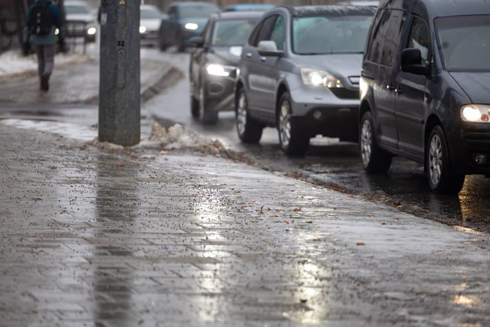 Plikledis Vilniuje. ELTA / Julius Kalinskas