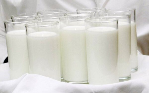 Krizė pieno sektoriuje gilėja: „Pieno centras“ ragina imtis skubių veiksmų