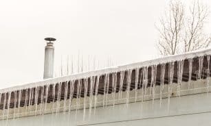 Varvekliai. Mindaugas Krilavičius nuotr.