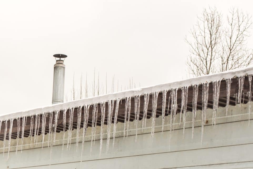 Varvekliai. Mindaugas Krilavičius nuotr.