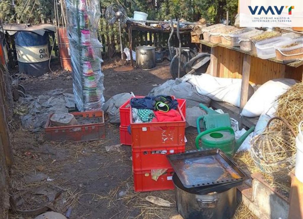 3. Dzūkelių mėsa. VMVT nuotraukos