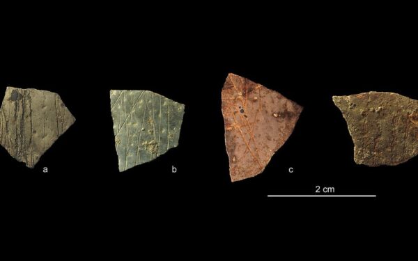 Radinys ant kiaušinio lukšto apvertė istoriją: štai ką žmonės mokėjo prieš 60 tūkst. metų