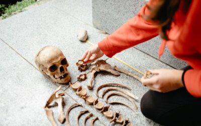 Sensacingas spėjimas: Vytauto Didžiojo palaikai galėjo būti rasti anksčiau nei manyta