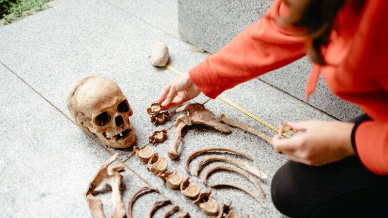 Sensacingas spėjimas: Vytauto Didžiojo palaikai galėjo būti rasti anksčiau nei manyta