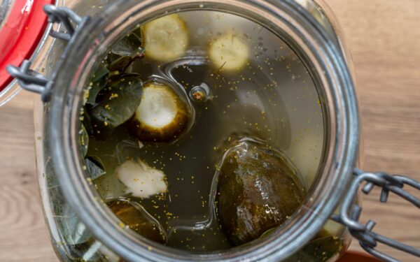 Gąsdina baltas apnašas ant agurkų? Specialistai paaiškino, kas tai yra