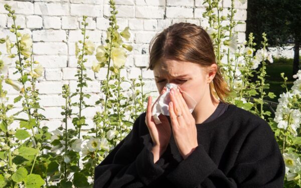 Kodėl pavasario alergija kankina labiau? Beržo ir lazdyno žiedadulkės tampa agresyvesnės