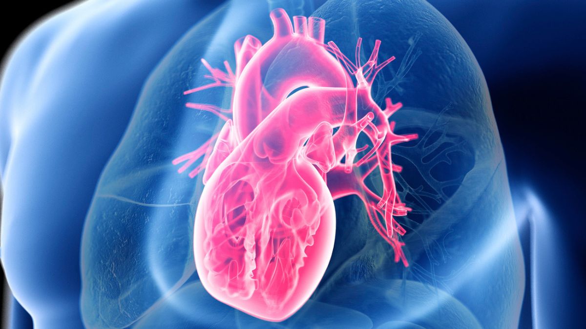 Nemokami širdies rizikos tyrimai gyventojams: medikai ragina nedelsti ir registruotis