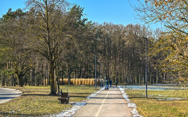 Alytus pasodino 1 152 medelių biologinės įvairovės miškelį: ką tai keis mieste ir gamtai