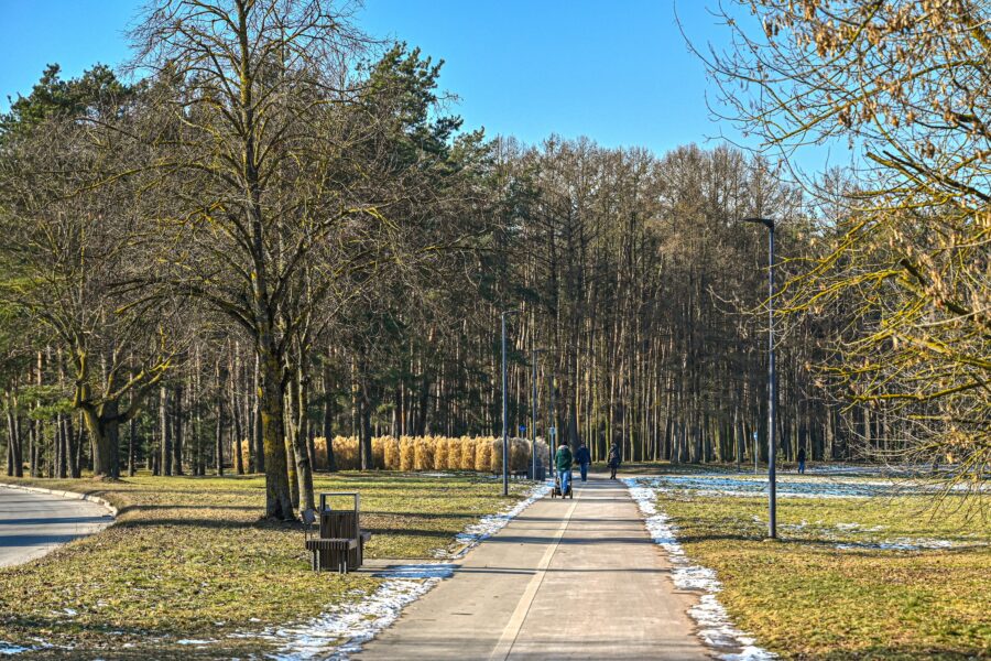 Alytus pasodino 1 152 medelių biologinės įvairovės miškelį: ką tai keis mieste ir gamtai