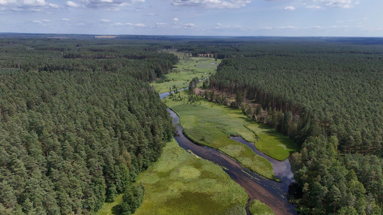 Iki šiol buvo nemokama – dabar viskas gali pasikeisti: Seimas svarsto naują rinkliavą