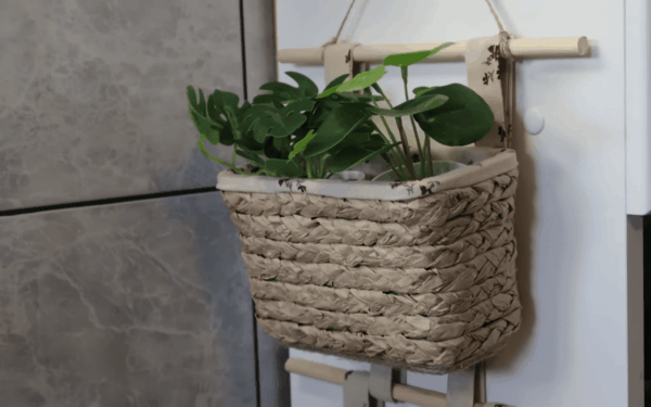 Daugiau jų neišmesite: tuščias skalbiklio pakuotes paverskite stilinga namų detale