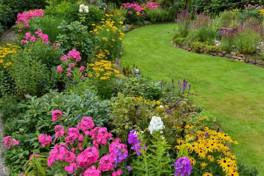 Geltona banga Mažeikiuose: sodinami tūkstančiai našlaičių, miestas keičia veidą