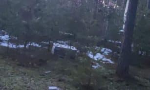 Kontrabanda. ELTA nuotr