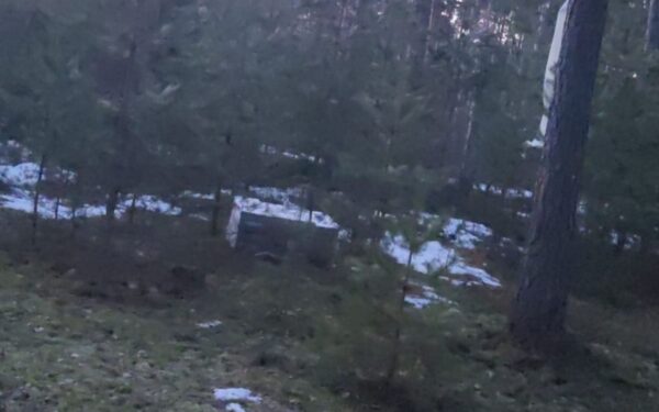 VSAT sulaikė 6 vyrus, galimai susijusius su kontrabanda oro balionais iš Baltarusijos