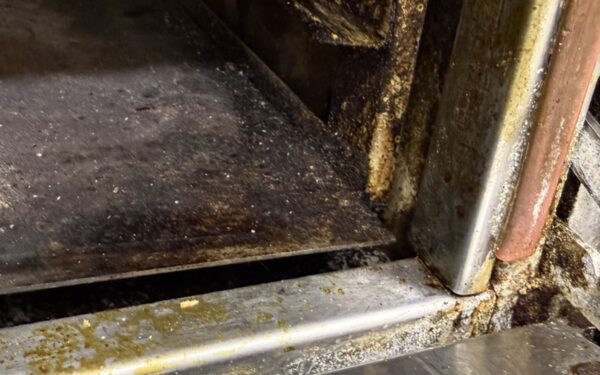 Vilkaviškio raj. mokyklos valgykloje – pažeidimų virtinė: nuo netvarkos iki dingusios mėsos