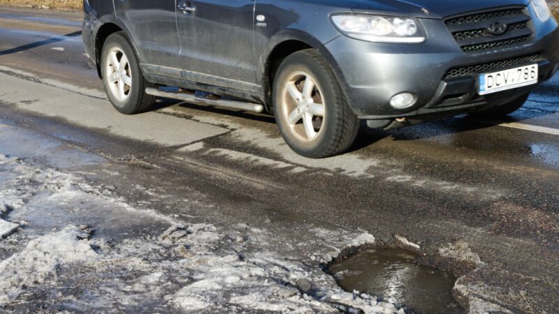 Pavasaris Lietuvoje atnešė seną problemą: įspėja vairuotojus  ir prašo pagalbos