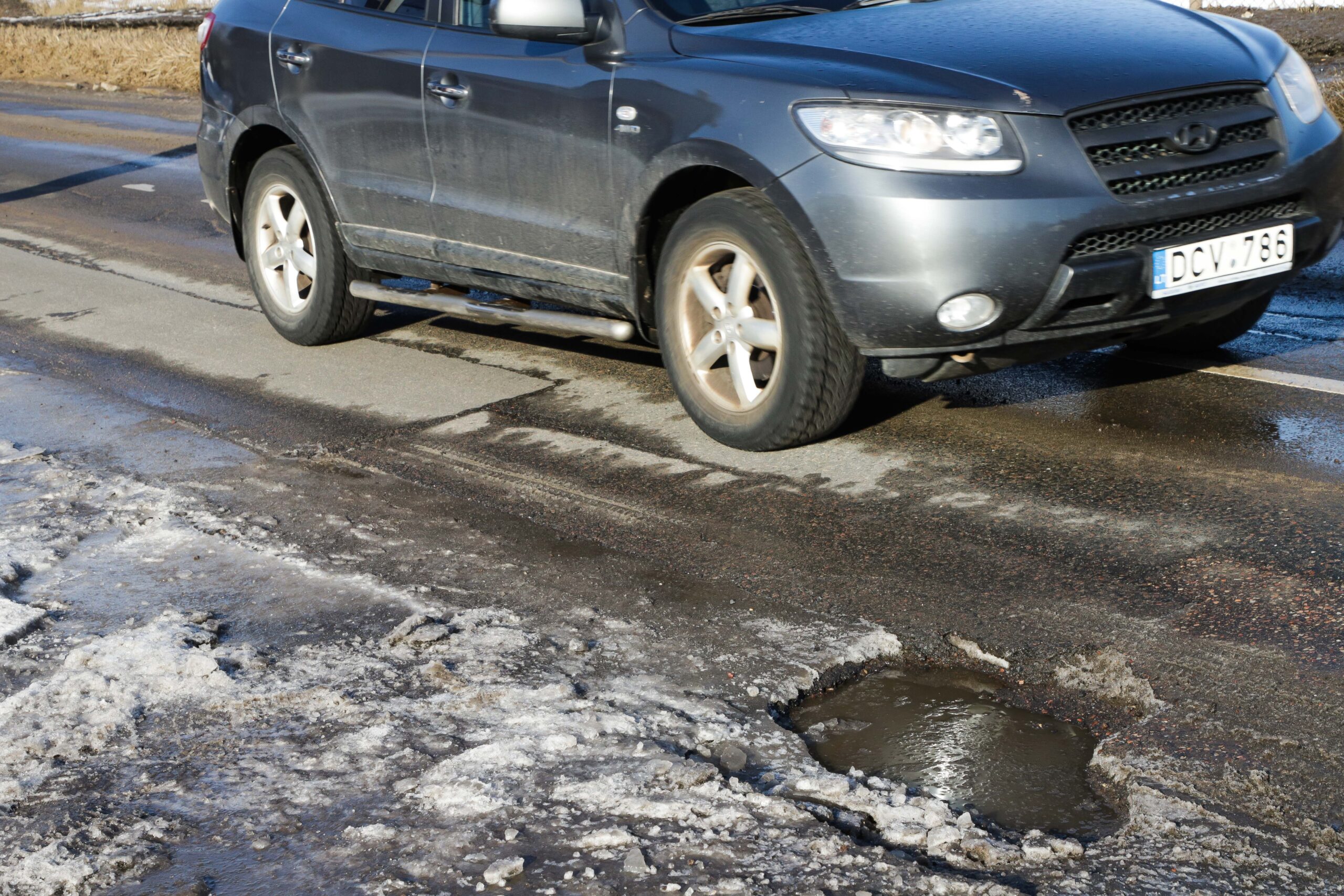 Pavasaris Lietuvoje atnešė seną problemą: įspėja vairuotojus ir prašo pagalbos