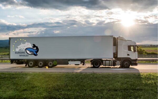 Vežėjai įstrigę sankcijų pinklėse: Lietuva atsakomybę meta Minsko režimui