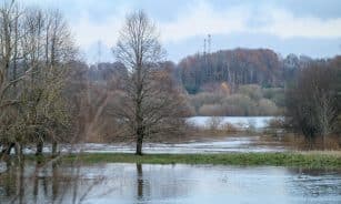 Potvynis Kartenoje. ELTA / Karolis Bakūnas