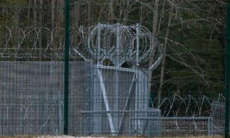 Koncertina. ELTA / Dainius Labutis