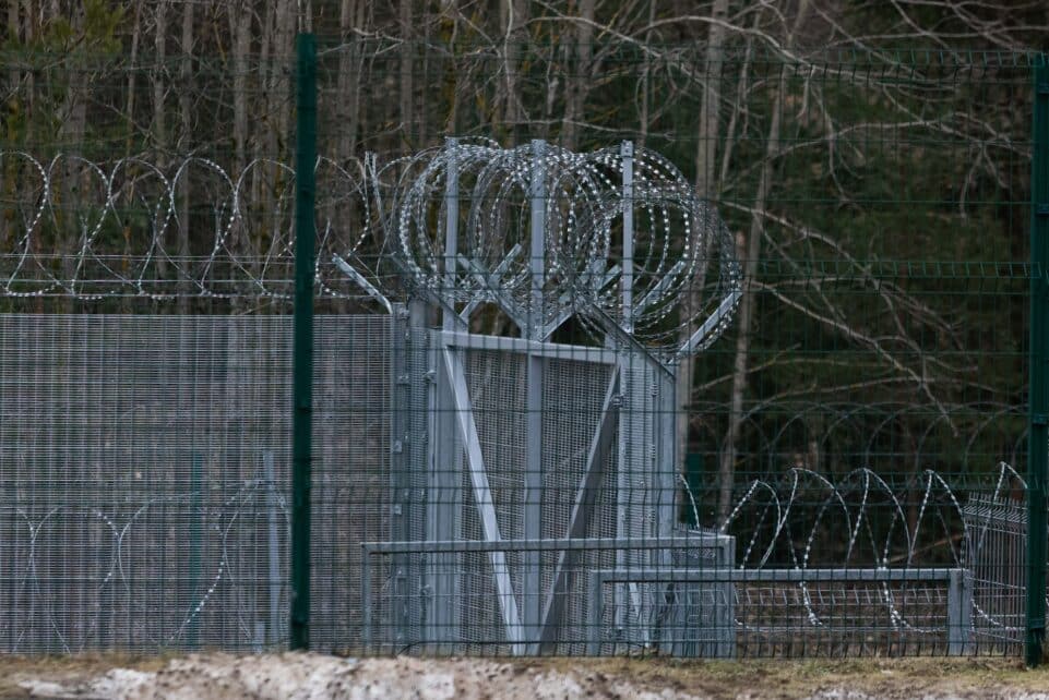 Koncertina. ELTA / Dainius Labutis