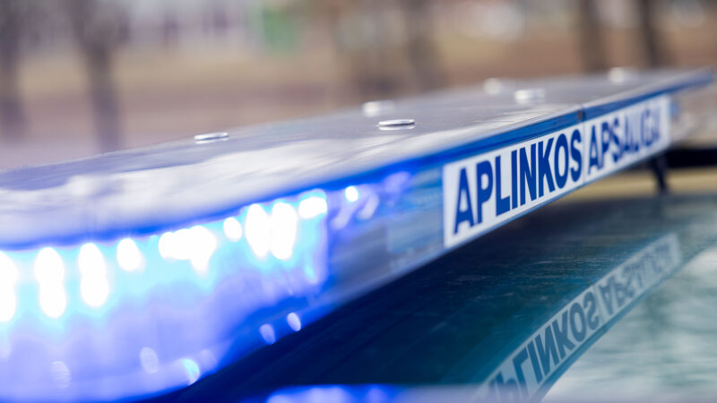 Neteisėta medžioklė – vis dar problema: per metus nustatyti šimtai pažeidimų