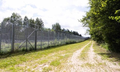 Lietuvos ir Baltarusijos pasienis. ELTA / Dainius Labutis