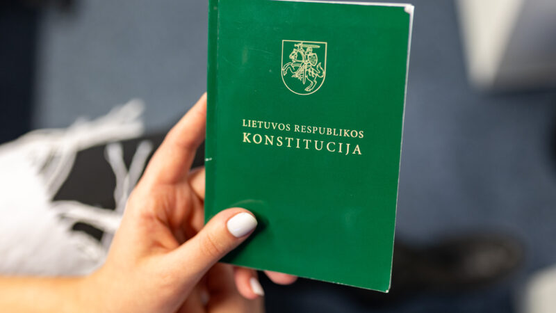 Seime – įtampa dėl jaunimo balsų: vieni sveikina, kiti įspėja apie pavojingas pasekmes