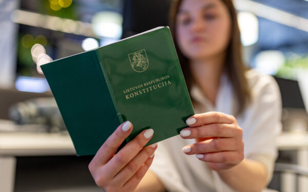 Seime – naujas siūlymas: šeimos samprata gali būti įtvirtinta referendumu