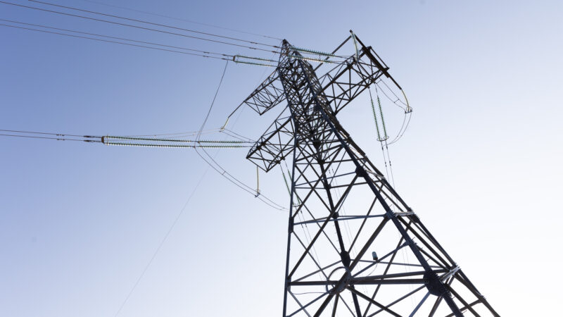 Vėjo padariniai auga: tūkstančiai be elektros, fiksuojami nuvirtę medžiai