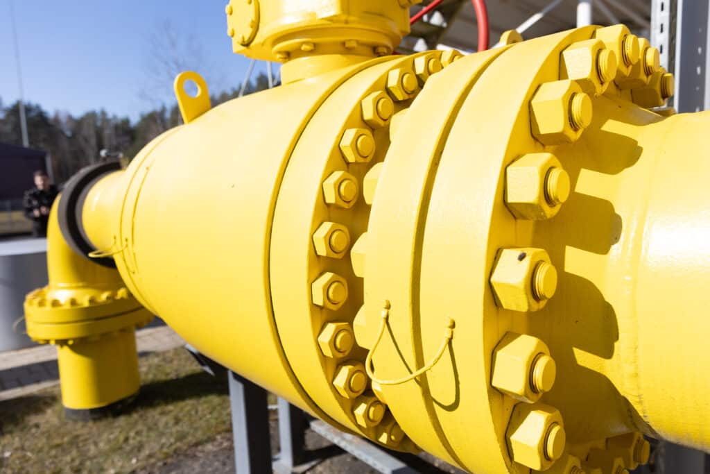 Dujotekis. ELTA / Dainius Labutis