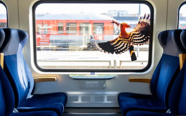 „Rail Baltica“ likimas pakibo ant plauko: Ruginienė siunčia aiškią žinią dėl projekto ateities