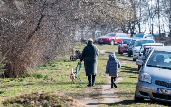 Įspėjimas gyventojams: šiuo laikotarpiu tokių darbų neatlikite, baudos neišvengiamos