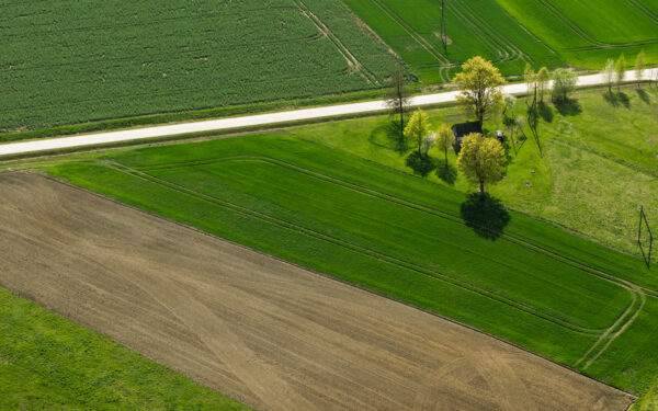 Svarbi žinia ūkininkams: šie pokyčiai turėtų palengvinti pasėlių deklaravimą