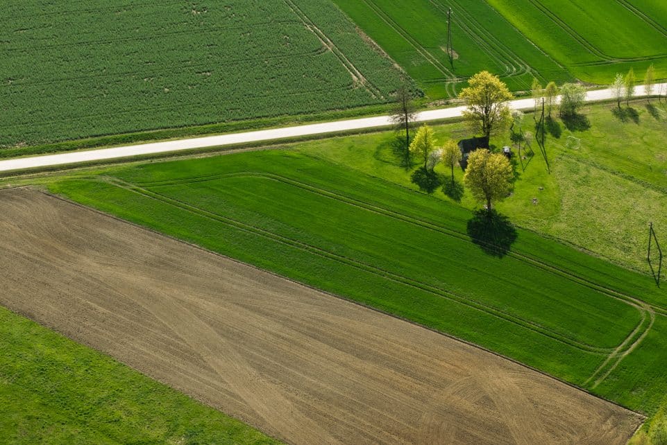 Laukai. ELTA / Andrius Ufartas